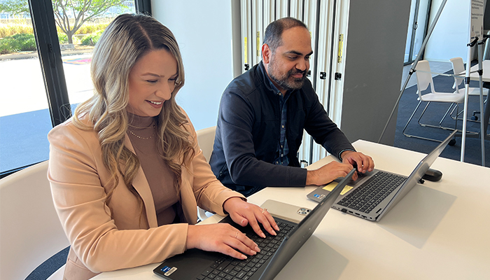 Staff using laptops in an office setting.